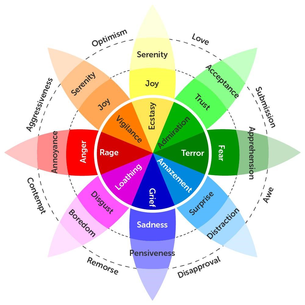 vocabulary of emotions